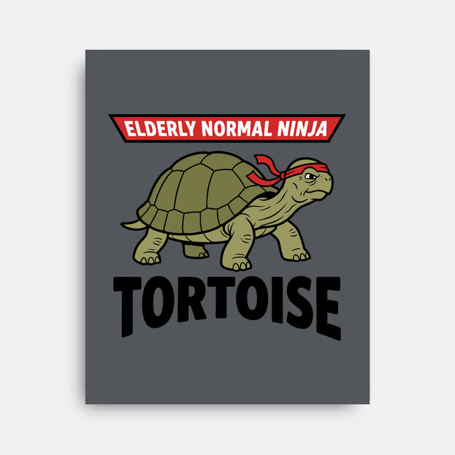 Elderly Normal Ninja-None-Stretched-Canvas-hypCreations