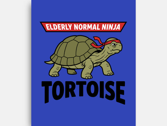 Elderly Normal Ninja