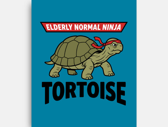 Elderly Normal Ninja