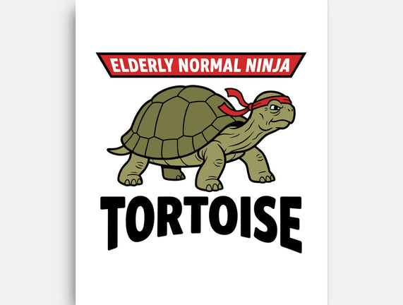 Elderly Normal Ninja