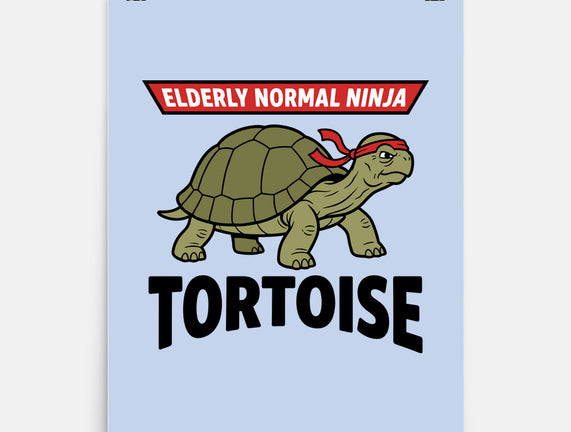 Elderly Normal Ninja