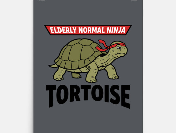 Elderly Normal Ninja