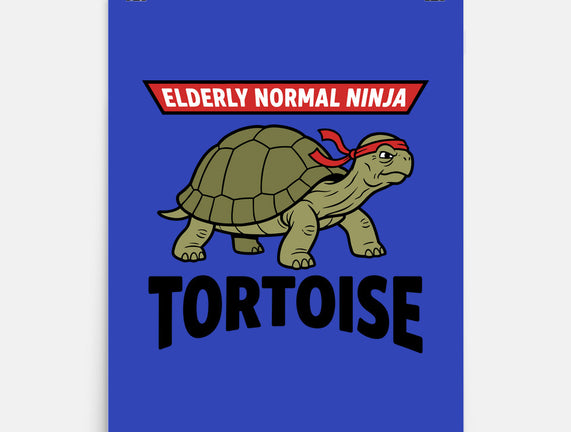 Elderly Normal Ninja