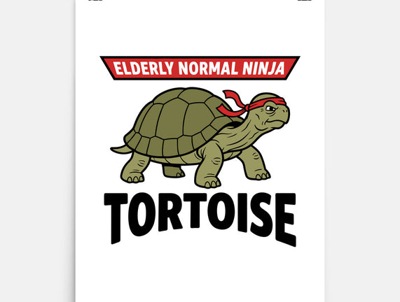 Elderly Normal Ninja