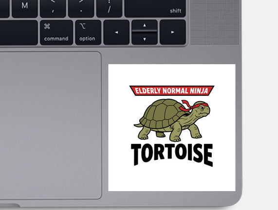 Elderly Normal Ninja