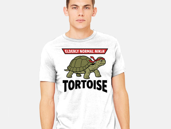 Elderly Normal Ninja