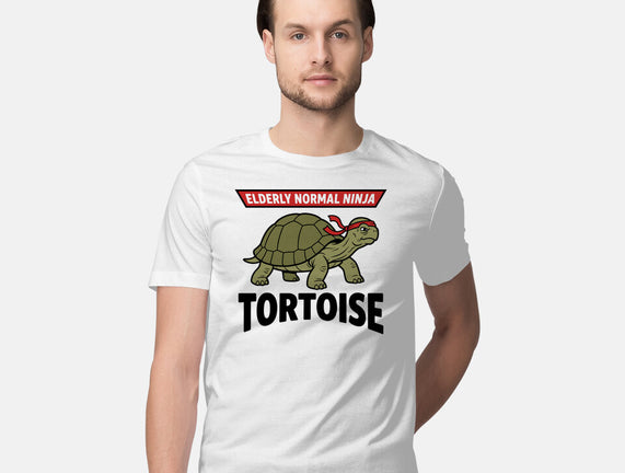 Elderly Normal Ninja