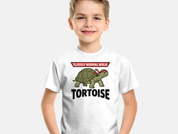 Elderly Normal Ninja