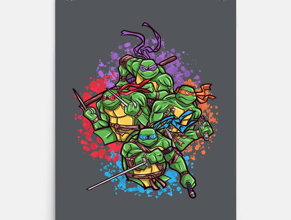 Turtle Brothers