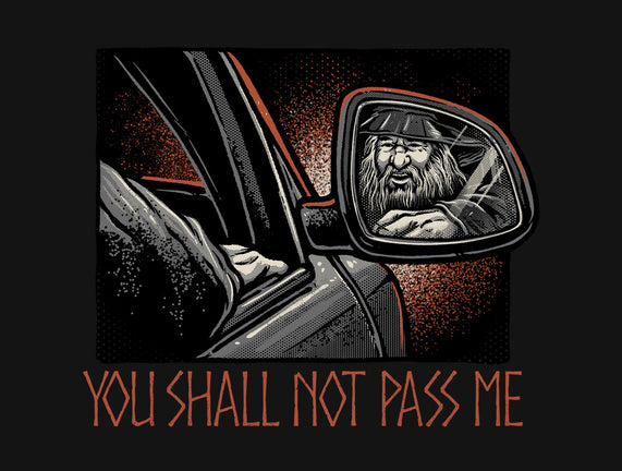 Shall Not Pass The Wizard