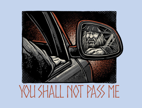 Shall Not Pass The Wizard