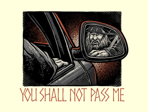 Shall Not Pass The Wizard