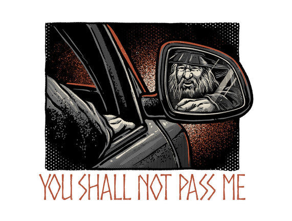 Shall Not Pass The Wizard