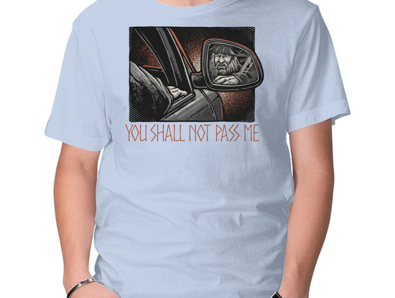 Shall Not Pass The Wizard