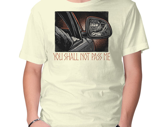 Shall Not Pass The Wizard