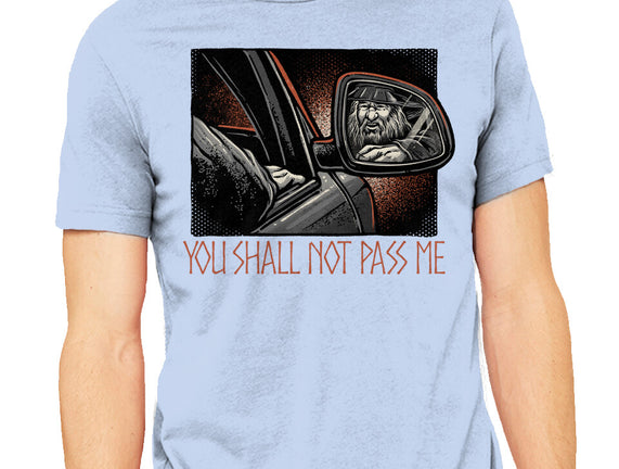 Shall Not Pass The Wizard