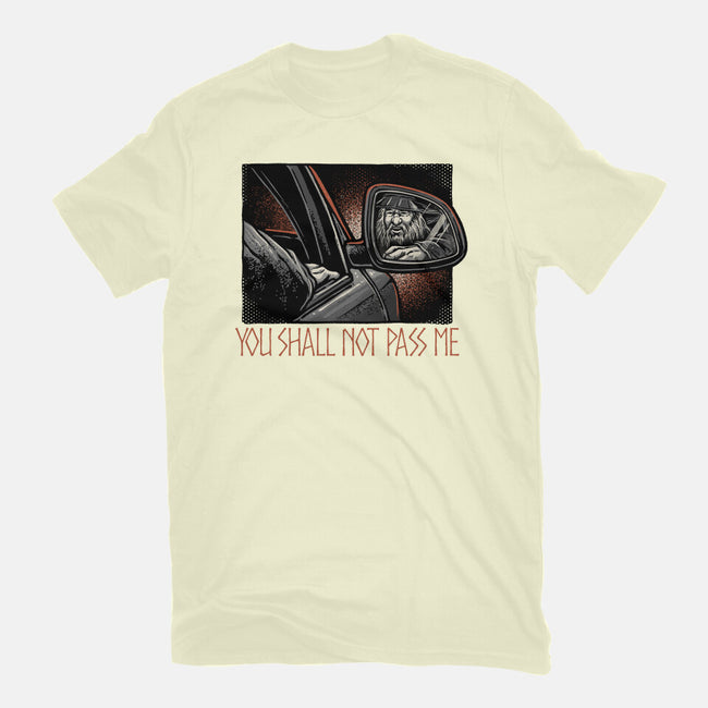 Shall Not Pass The Wizard-Mens-Basic-Tee-glitchygorilla