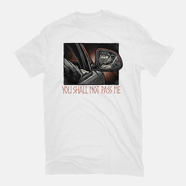 Shall Not Pass The Wizard-Womens-Fitted-Tee-glitchygorilla