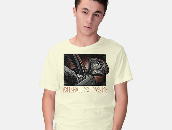 Shall Not Pass The Wizard