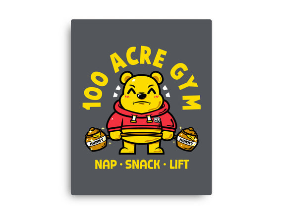 100 Acre Gym