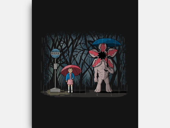 My Stranger Neighbor