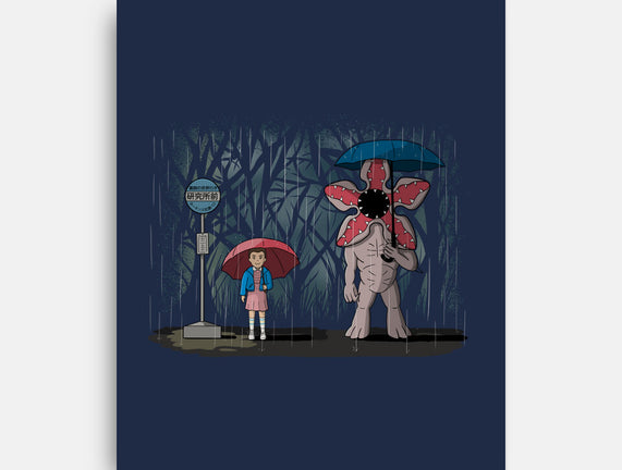 My Stranger Neighbor