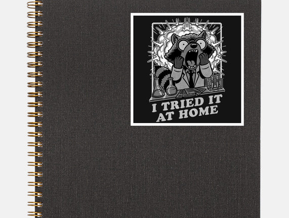 Raccoon Science Experiment At Home