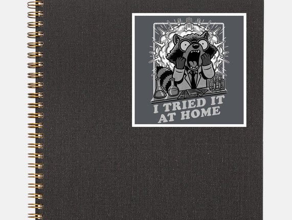 Raccoon Science Experiment At Home