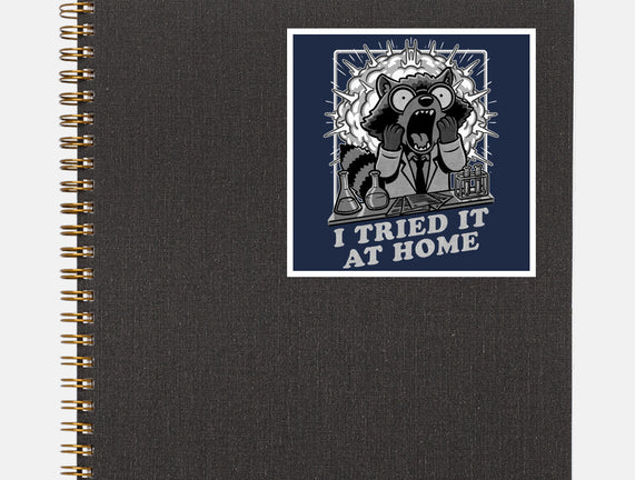 Raccoon Science Experiment At Home