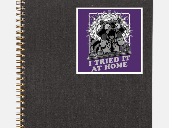 Raccoon Science Experiment At Home