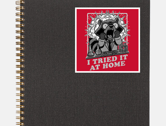 Raccoon Science Experiment At Home