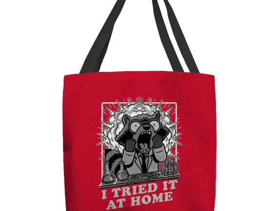 Raccoon Science Experiment At Home