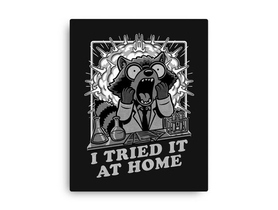 Raccoon Science Experiment At Home