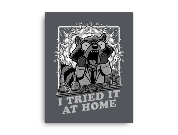 Raccoon Science Experiment At Home