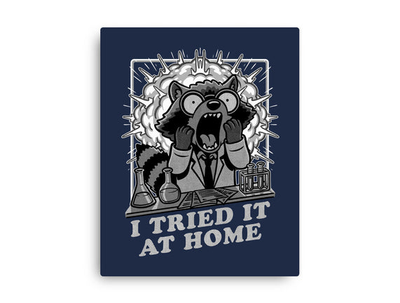 Raccoon Science Experiment At Home