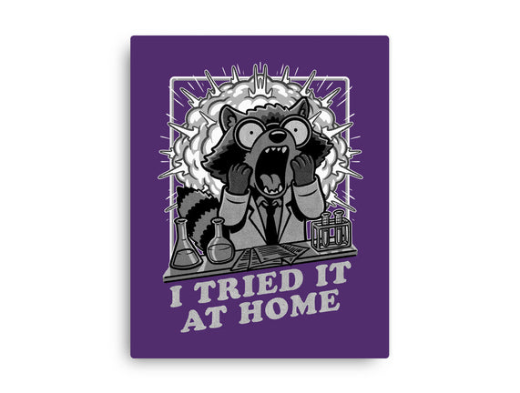 Raccoon Science Experiment At Home