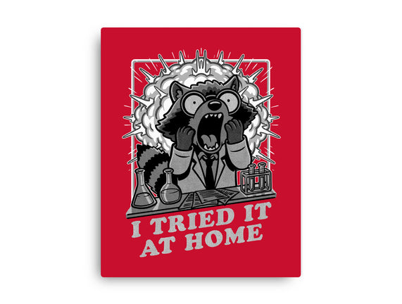 Raccoon Science Experiment At Home