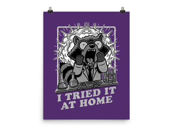 Raccoon Science Experiment At Home