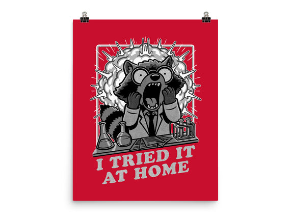 Raccoon Science Experiment At Home