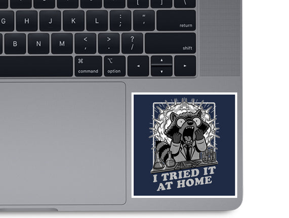 Raccoon Science Experiment At Home