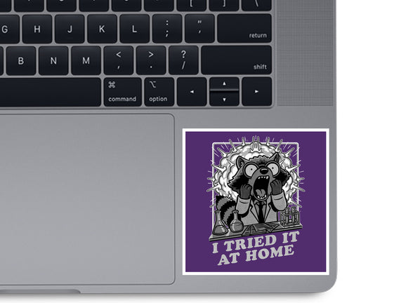 Raccoon Science Experiment At Home