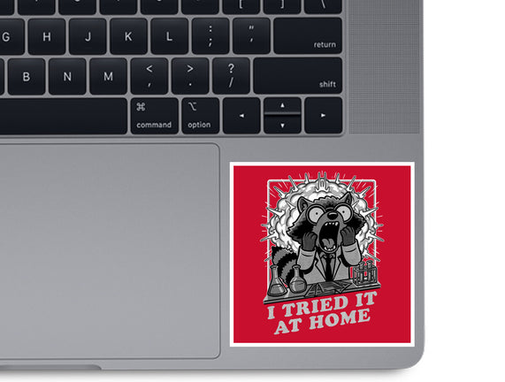 Raccoon Science Experiment At Home