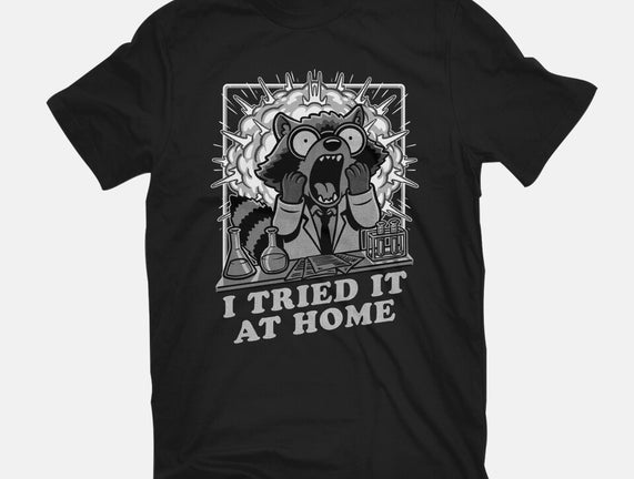 Raccoon Science Experiment At Home