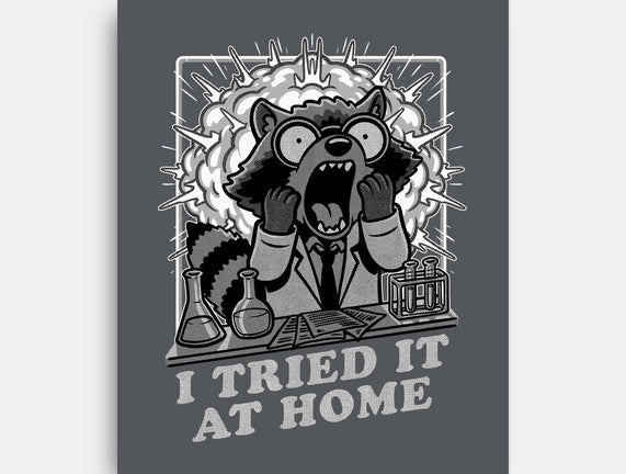 Raccoon Science Experiment At Home