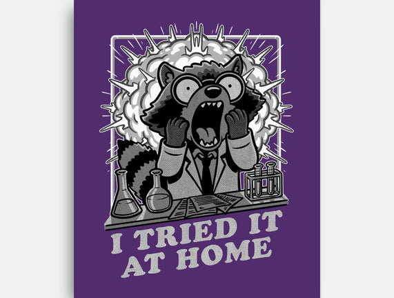 Raccoon Science Experiment At Home