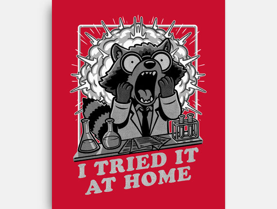 Raccoon Science Experiment At Home