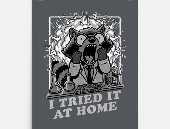 Raccoon Science Experiment At Home