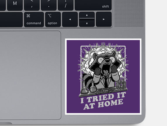 Raccoon Science Experiment At Home