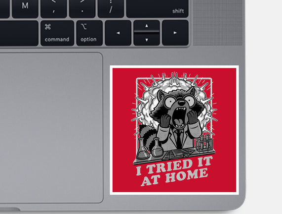 Raccoon Science Experiment At Home