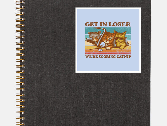 We're Scoring Catnip